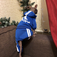 Słodki kociak sweter z kapturem zimowe ciepłe ubrania dla zwierząt dla kotów Sphynx Katten odzież strój Ropa Para gatos Kedi Giyim produkty dla zwierząt domowych 3